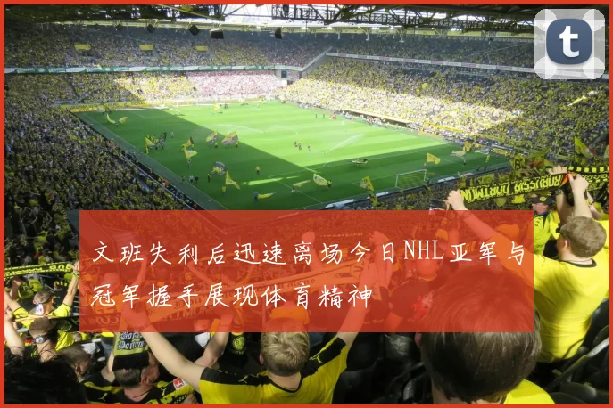 文班失利后迅速离场今日NHL亚军与冠军握手展现体育精神